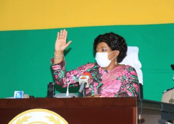 Togo / Dynamisation de la filière cotonnière au Togo : Les élus du peuple donnent le feu vert au gouvernement